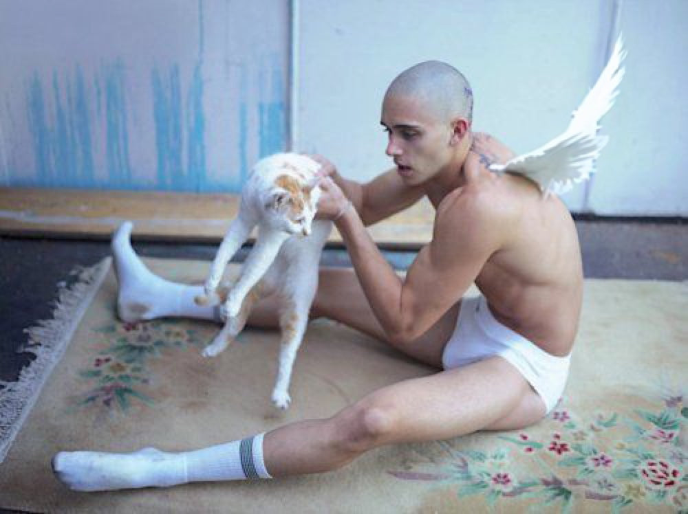 Unity Art Club model with wings and cat